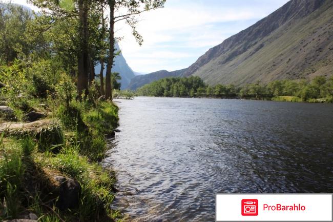 Отдых на алтае отрицательные отзывы