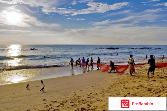 Берувела шри ланка отзывы туристов реальные отзывы