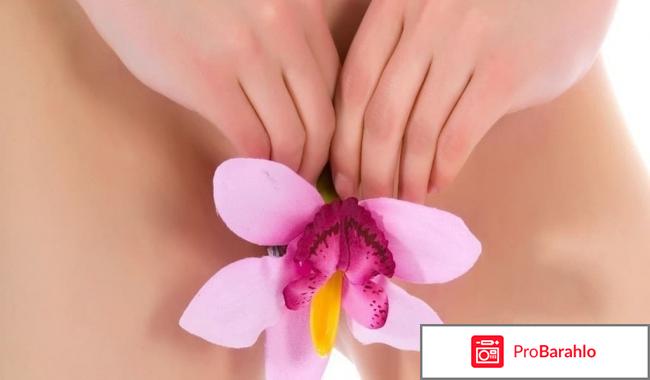 Чка доянь купить в москве фото