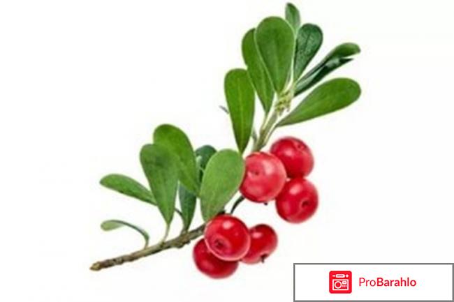 Cystelle от цистита: цена, отзывы, купить Цистель отрицательные отзывы