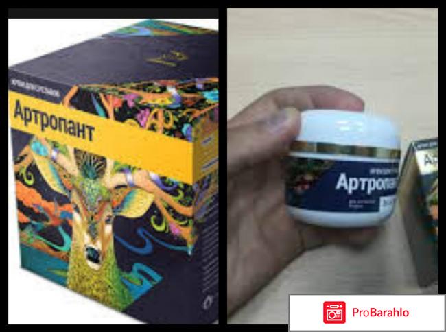 Артропант мазь отзывы цена 
