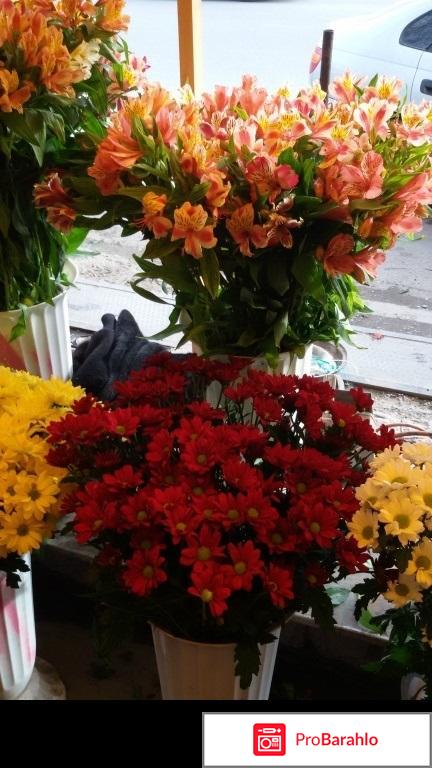 G7102 реальные отзывы