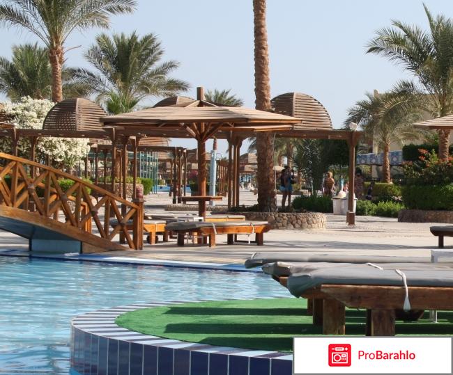 Desert Rоse 5* отрицательные отзывы