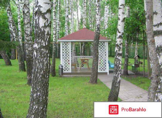 Пансионат зеленый бор обман