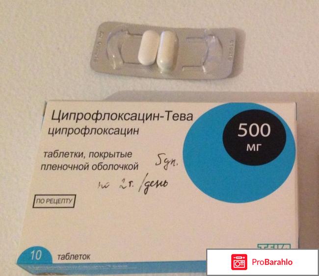 Ципрофлоксацин-тева отзывы обман