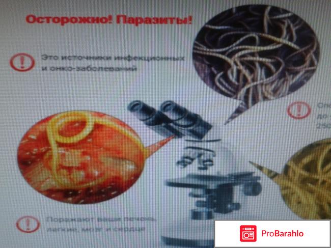 Bactefort инструкция по применению отрицательные отзывы