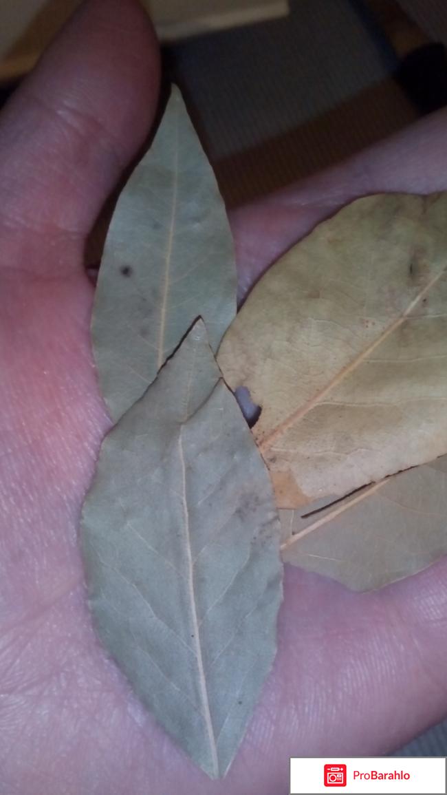 Виды диатезов 