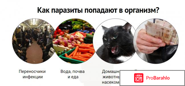 Интоксик (Intoxic) реальные отзывы