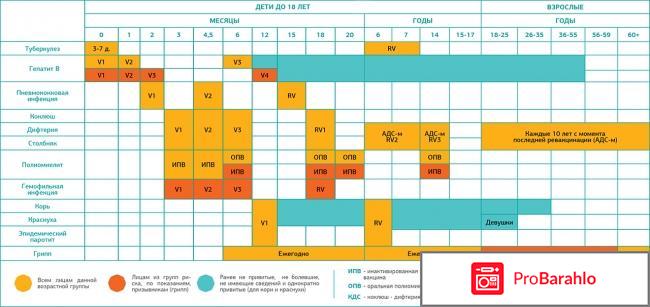Национальный календарь прививок 2017 обман
