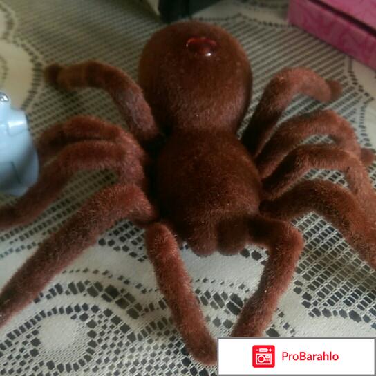 Радиоуправляемый тарантул. 