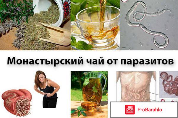 Монастырский чай афера 