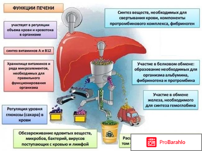 Cirrofoll капли для печени отрицательные отзывы