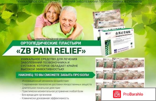 Купить пластырь zb pain relief 