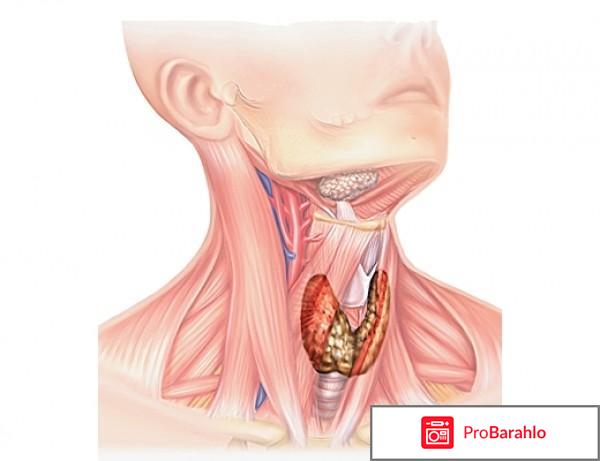 Гипотиреоз при нормальных гормонах отрицательные отзывы