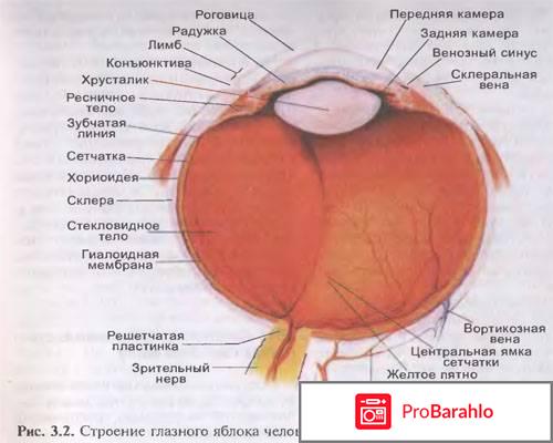 Глазомер прибор для лечения глаз отрицательные отзывы