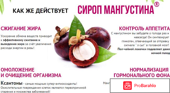 Мангустин для похудения реальные отзывы