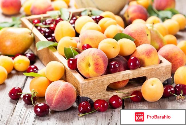 В17 витамин в лечении рака отзывы 