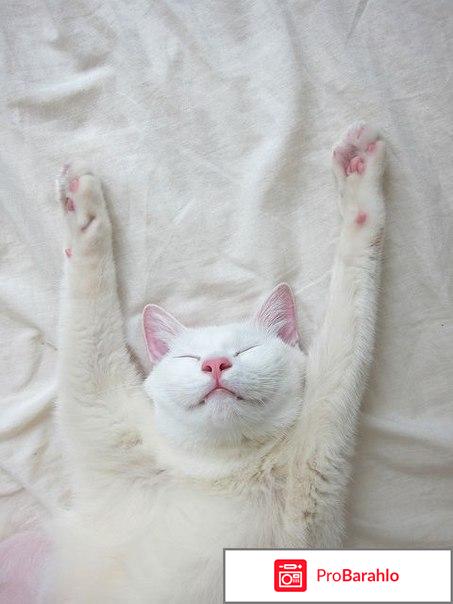 Оригинальный подарок на день матери