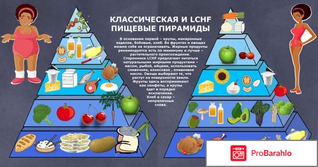 Lchf диета отзывы и результаты обман