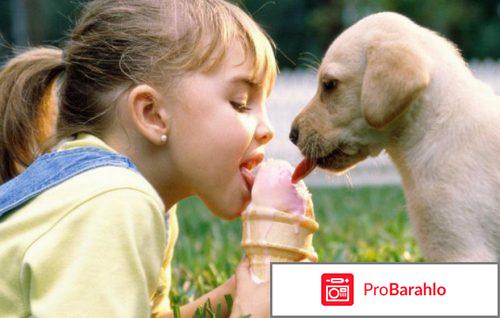 Азинокс для человека отзывы обман