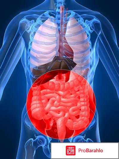 Энтеро-флора 