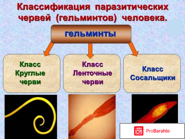 Противопаразитарное средство 
