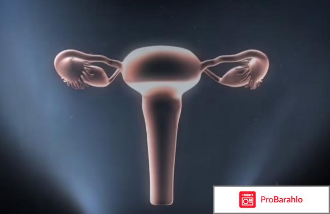 Роль гормонов в организме человека реальные отзывы