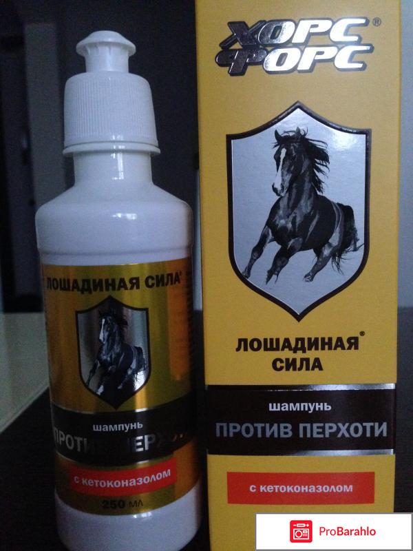 Шампунь лошадиная сила от перхоти отзывы 