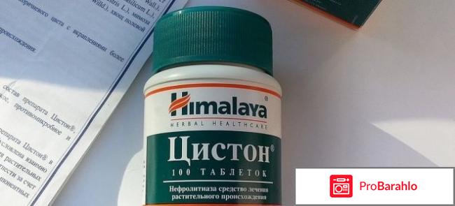 Цистон инструкция по применению обман
