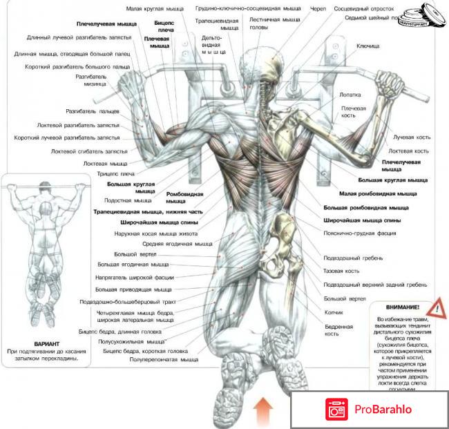 Как выбрать между подтягиваниями и тягой верхнего блока обман