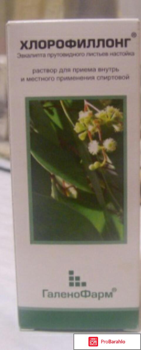 Хлорофиллонг 