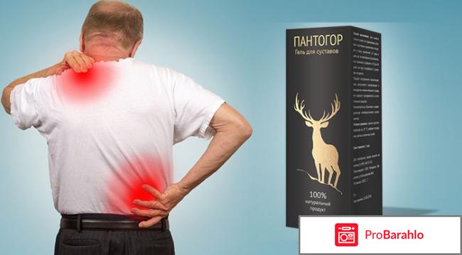 Пантогор для суставов отрицательные отзывы