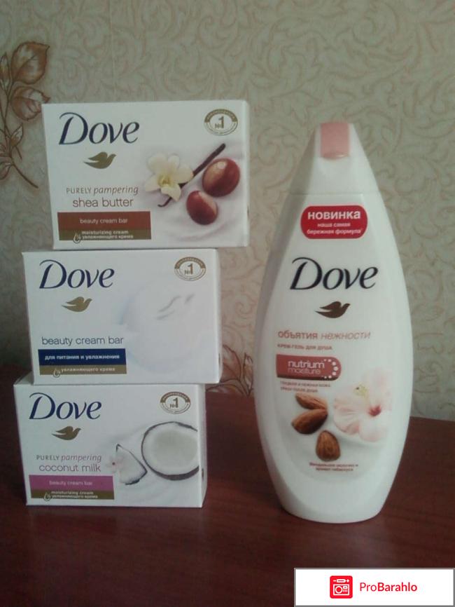 Dove 