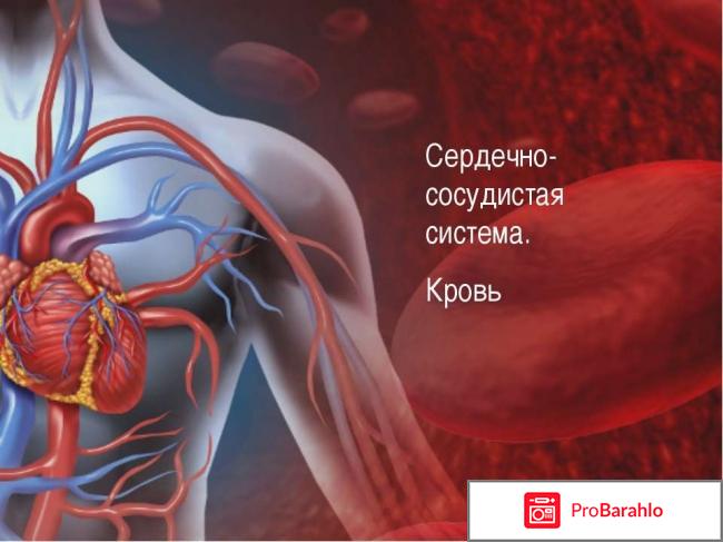 Карведилол инструкция по применению цена отзывы отрицательные отзывы