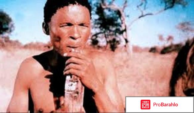 Наверное,боги сошли с ума 