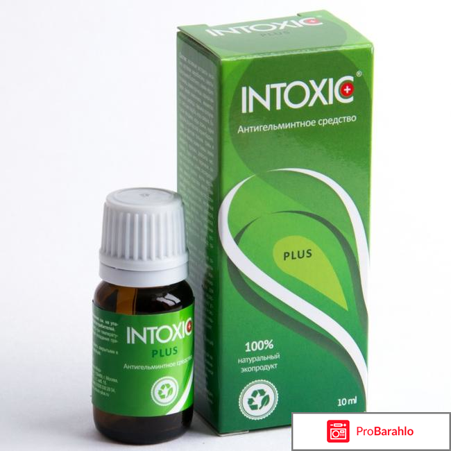Intoxic plus отзывы реальные 