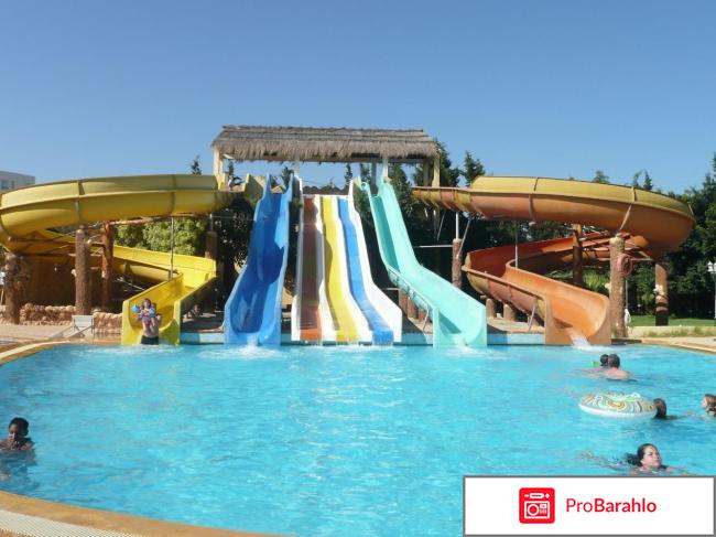 Thalassa mahdia 4 обман