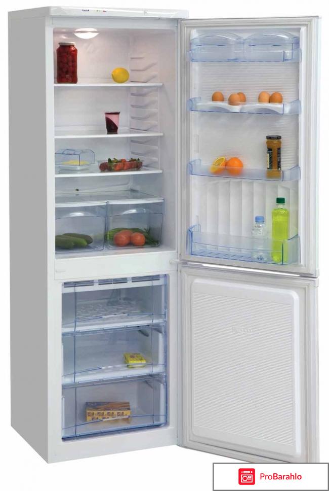 Холодильники норд 