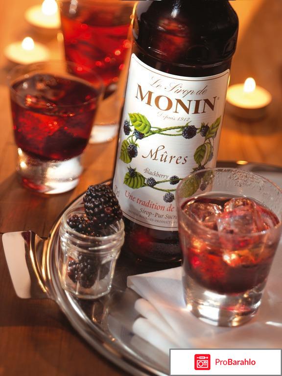 Французкие сиропы MONIN отзывы владельцев