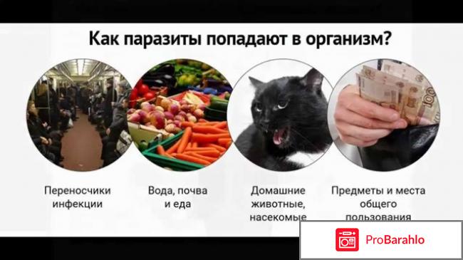 Intoxic отзывы инструкция состав обман