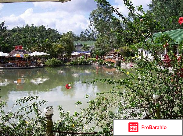 Вьетнам в январе погода отзывы туристов 