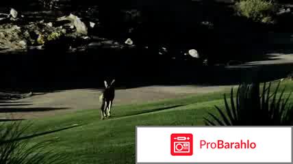 Жизнь после людей (2008) обман