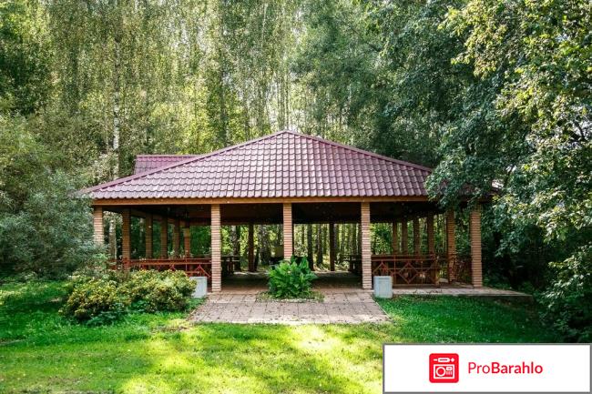 Лесные дали 