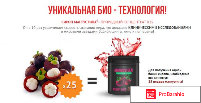 Мангустин отзывы