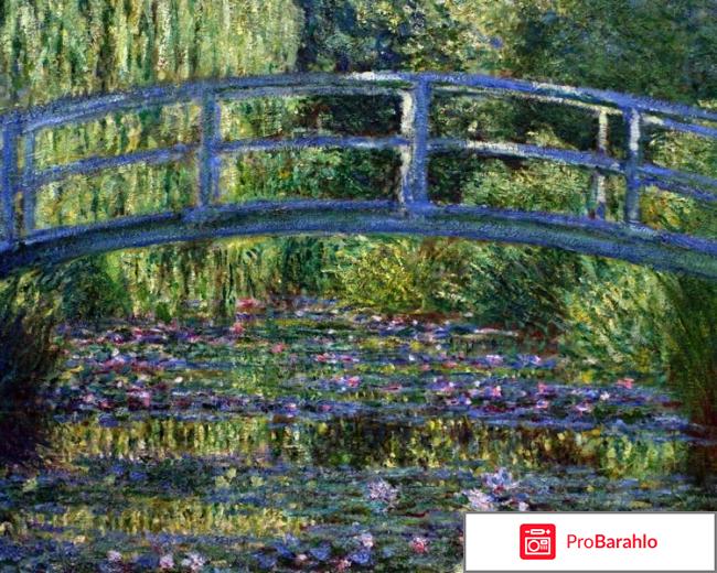 Моне отрицательные отзывы