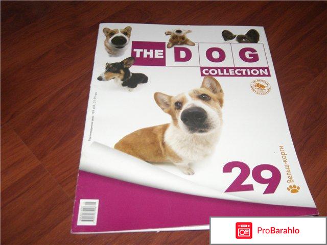 The dog collection 