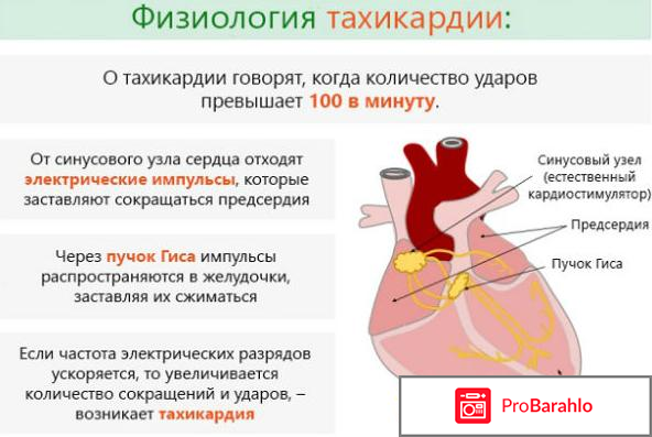 Ритмонорм инструкция по применению цена отзывы обман