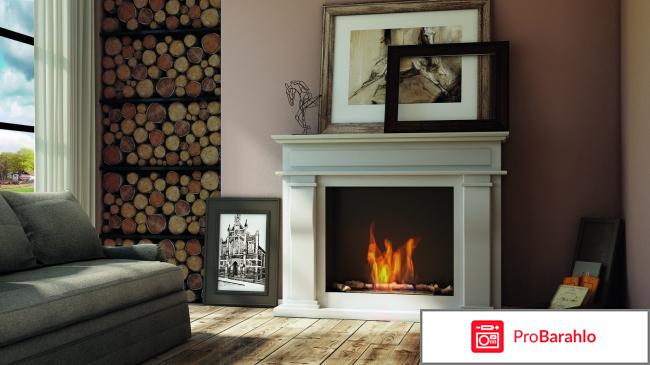 Биокамины недостатки фото