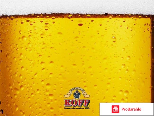 Пиво koff