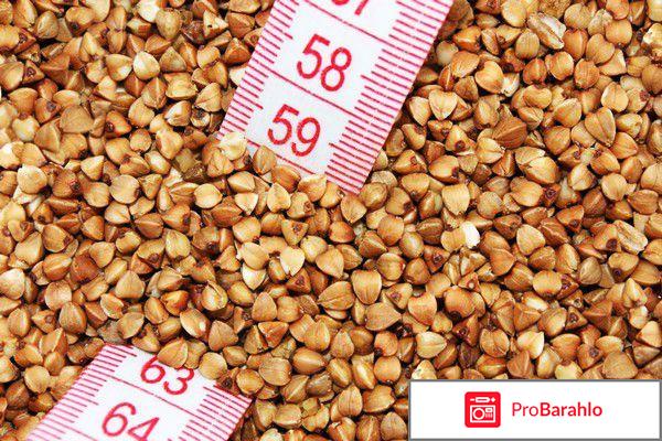 Гречневая диета не худею обман